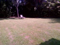 Binjai Park (D21), Detached #599662411